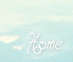 Home Button